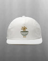 Mathis 5 Panel