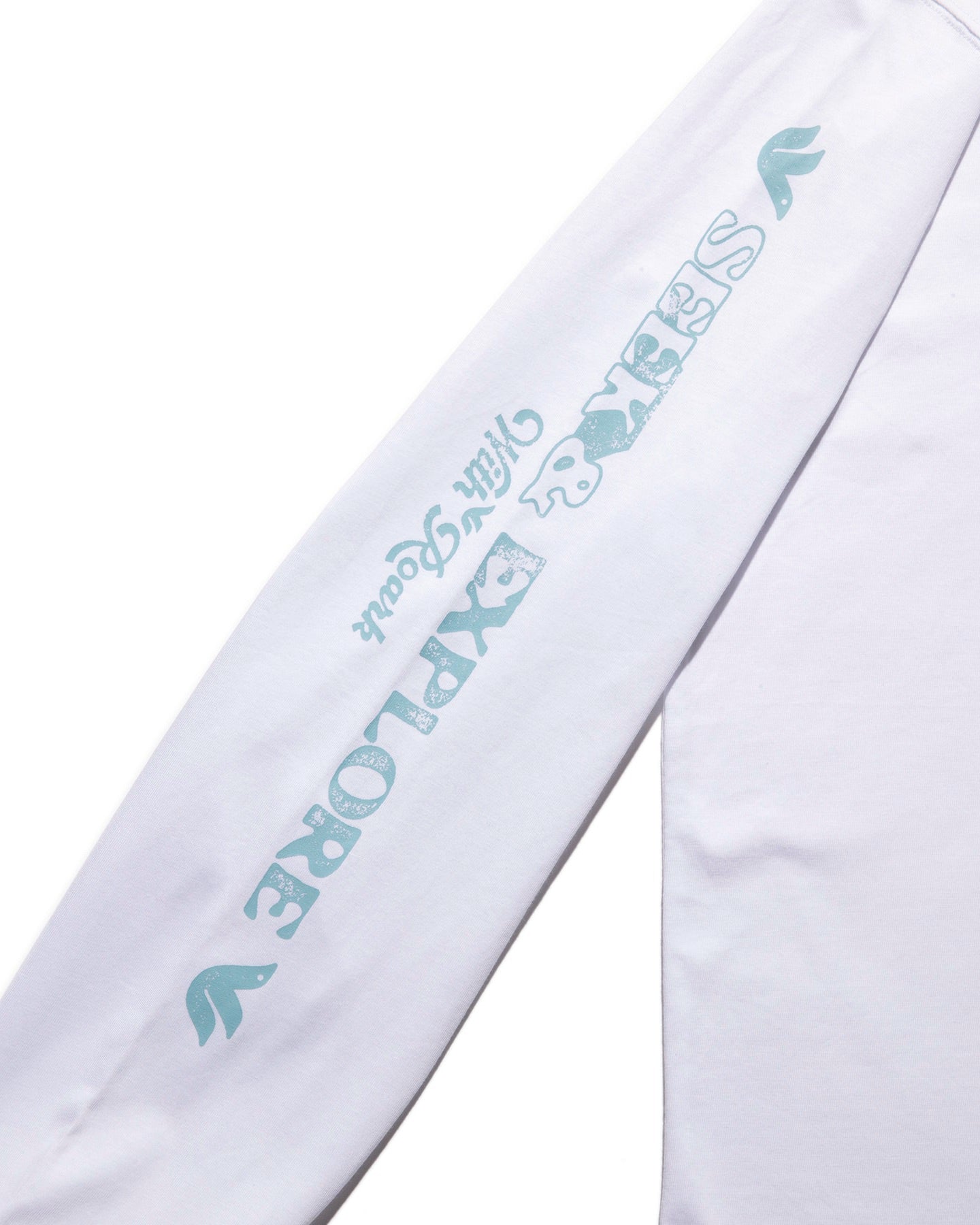 Seek & Explore L/S Tee