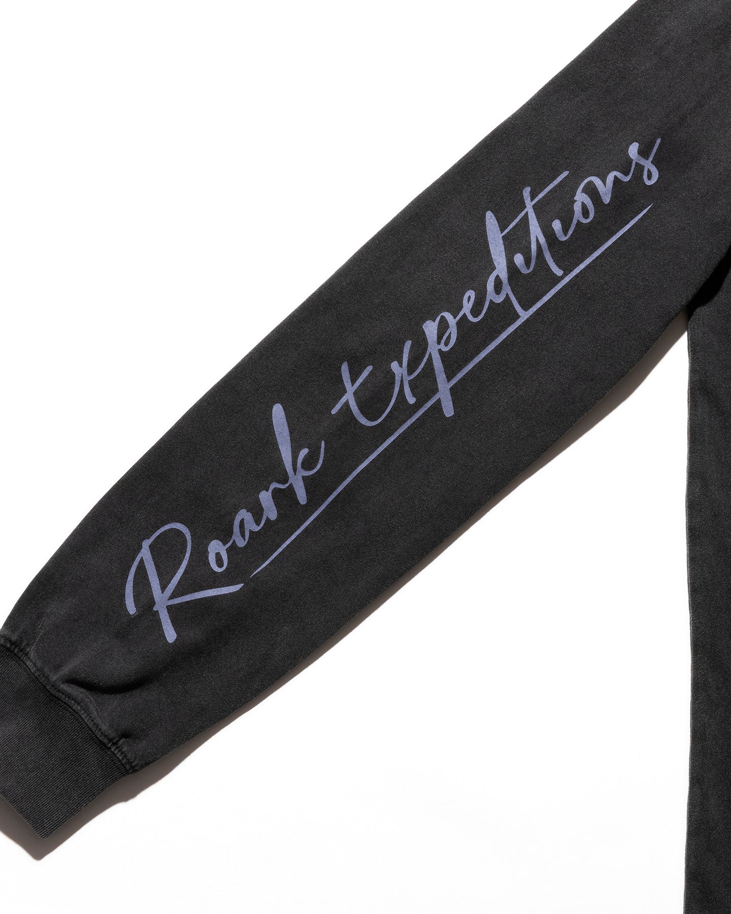 Expeditions Photo Well Worn L/S Tee