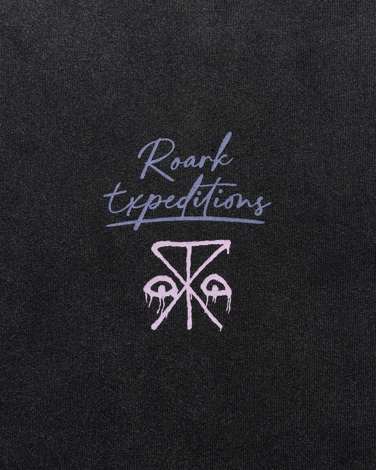 Expeditions Photo Well Worn L/S Tee