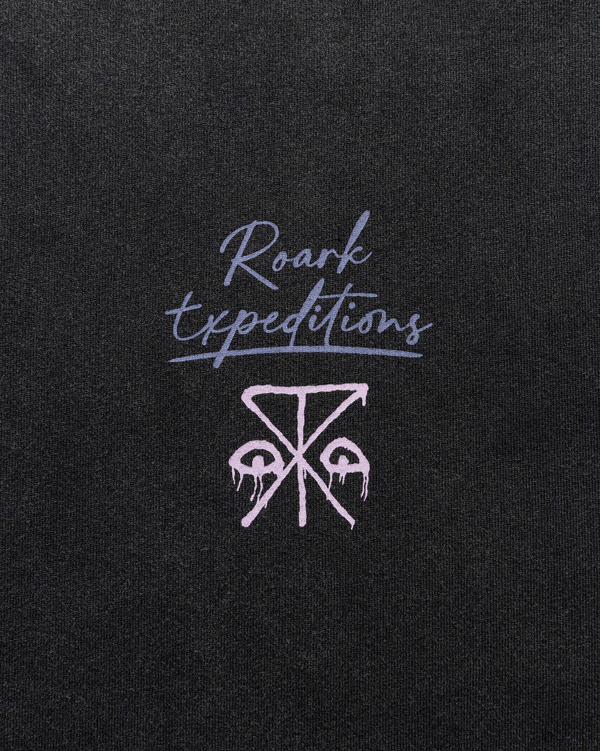 Expeditions Photo Well Worn L/S Tee