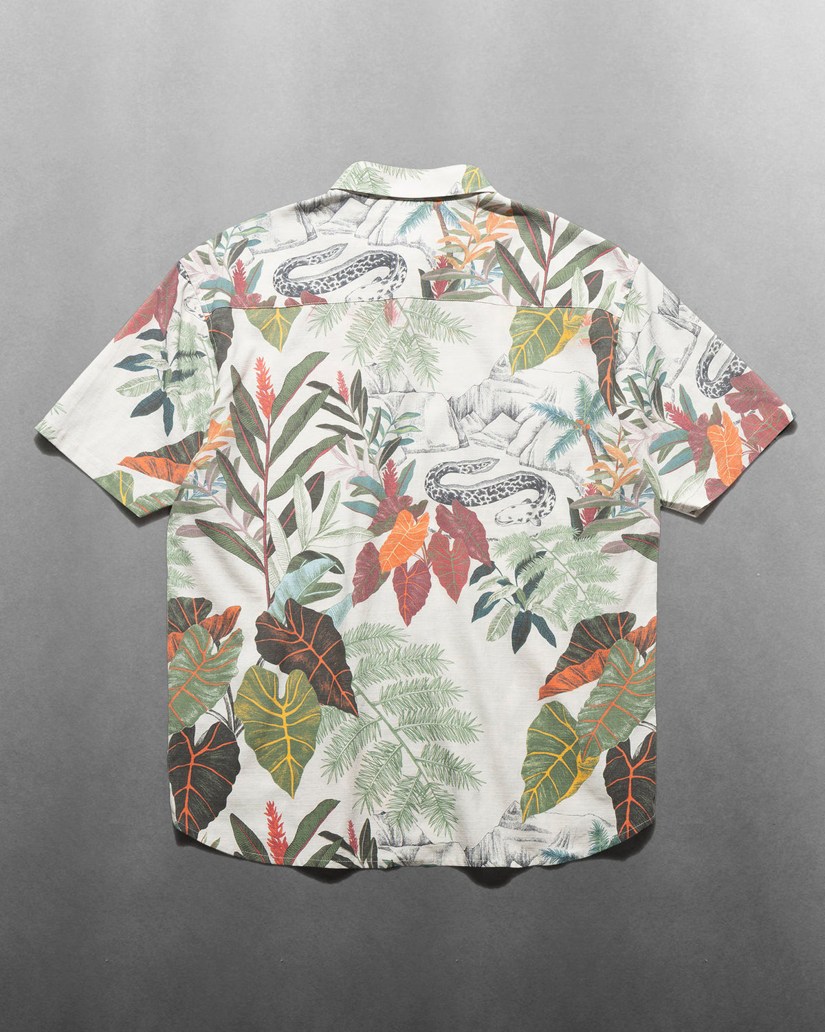 Scholar Lake Viahiria Journey S/S