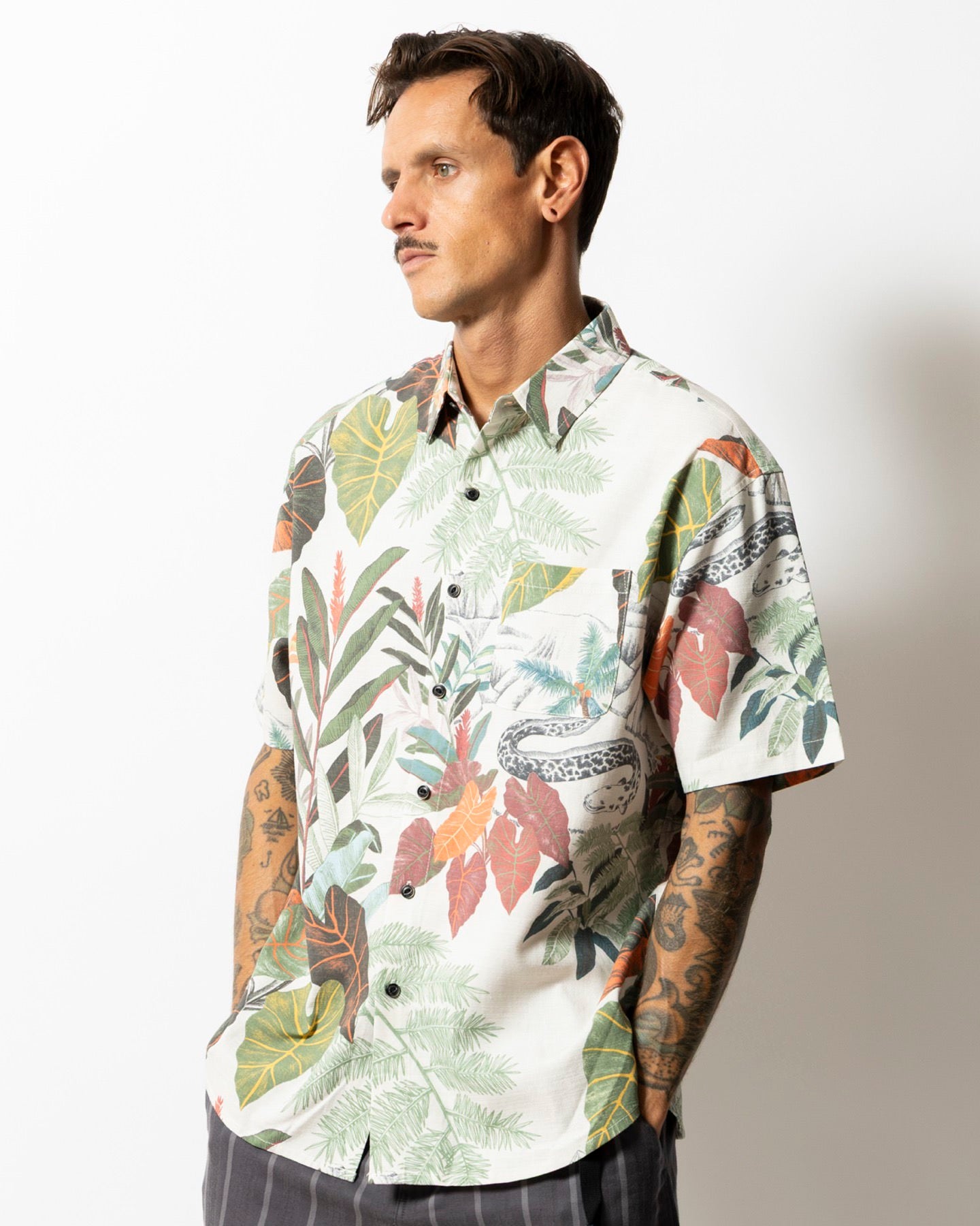 Scholar Lake Viahiria Journey S/S