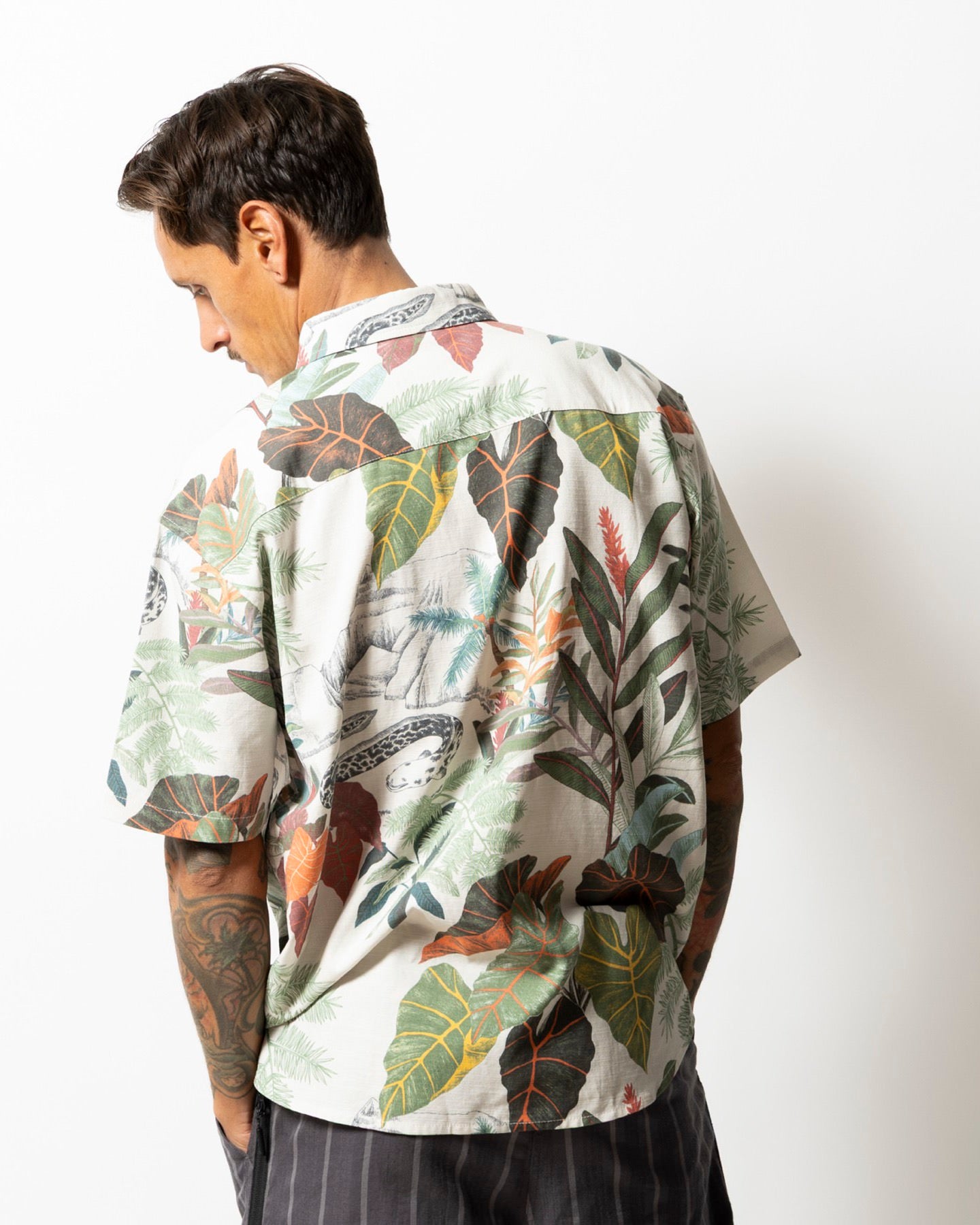 Scholar Lake Viahiria Journey S/S