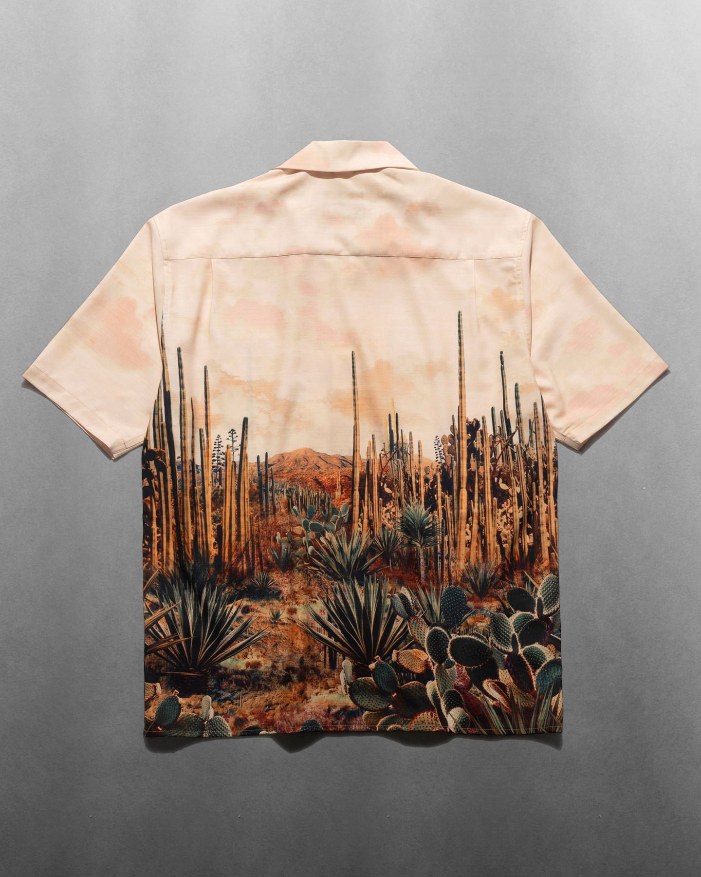 “Desierta” Gonzo S/S