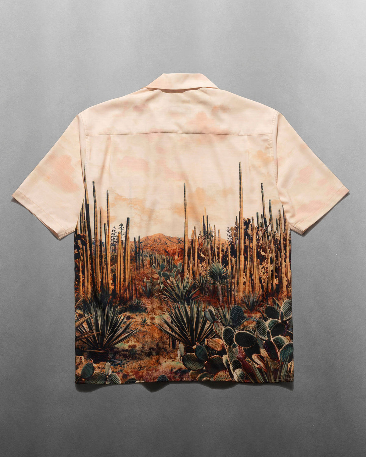 “Desierta” Gonzo S/S