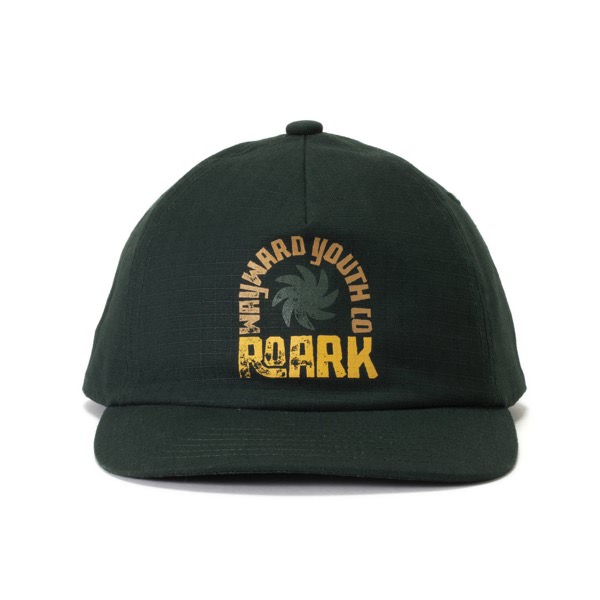 WAYWARD YOUTH 5 PANEL