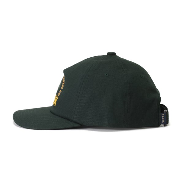 WAYWARD YOUTH 5 PANEL