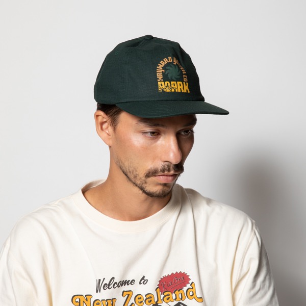 WAYWARD YOUTH 5 PANEL